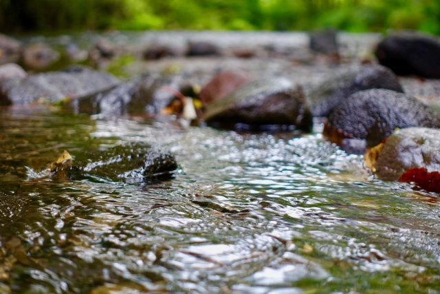 めぐまれた水のイメージ写真